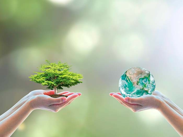 Educação ambiental